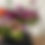 Thumbnail: Floral Subscription