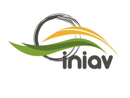 INIAV - Catarina Guerreiro