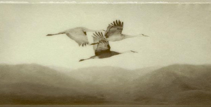 three water birds.jpg