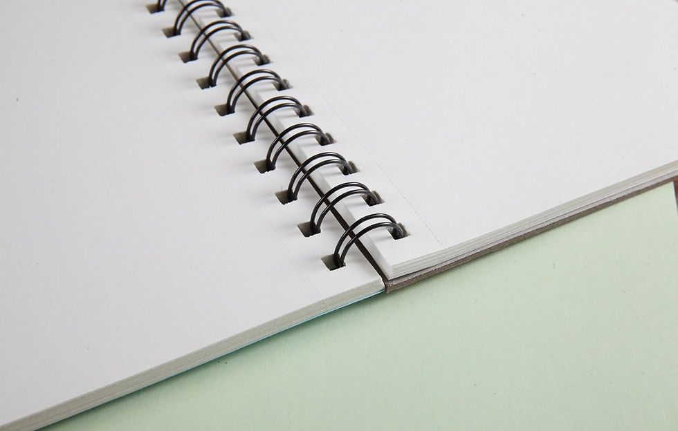 Hình thu nhỏ: Sổ nhiều màu Potentate 100gsm