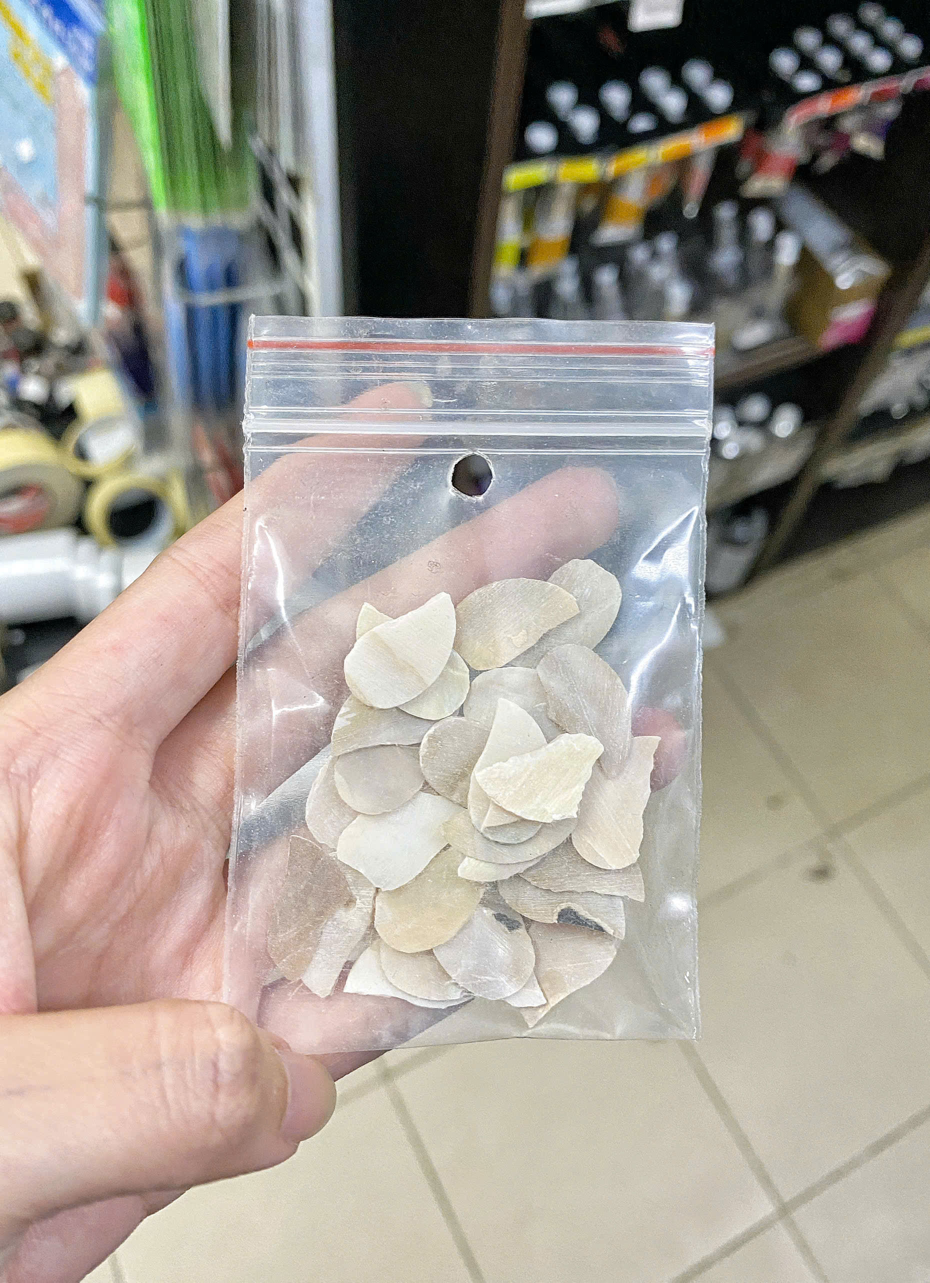 Xà cừ hình cánh hoa trai đen 10g