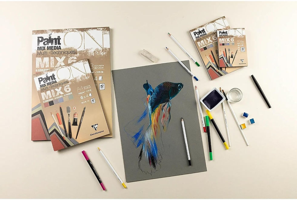 Hình thu nhỏ: Sổ giấy màu Clairefontaine Paint On MIX6 250gsm