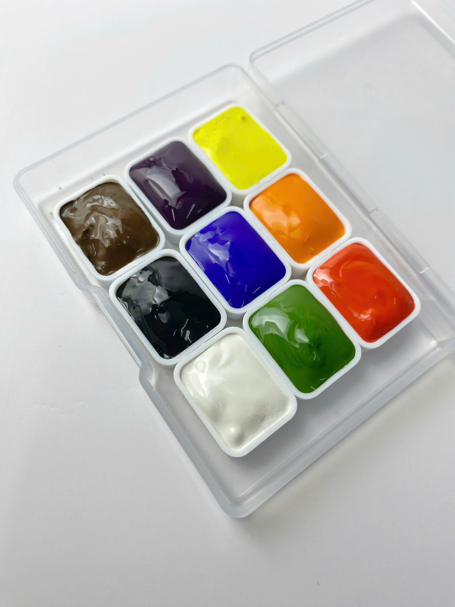 Màu Chiết Cotman 9x1ml