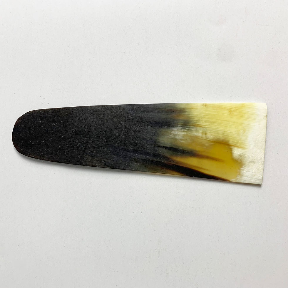 Thumbnail: Lacquered horn