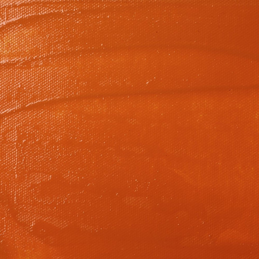 Liquitex Spray Satin Varnish - Xịt phủ bóng dịu cho Acrylic