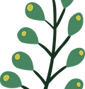Plantar