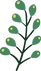 Planta