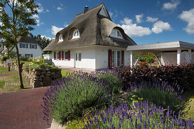 Seeadler 3, Beschreibung