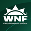 Foto do escritor: Blog WNF