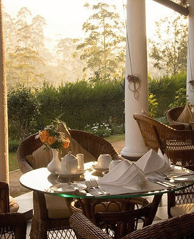 Colonial bungalow verandah with seating overlooking lush Sri Lankan tea fields