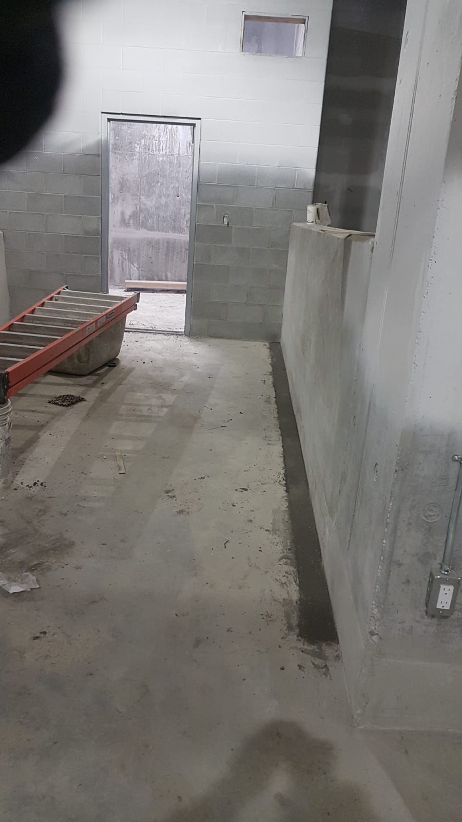 IMG-20190213-WA0019