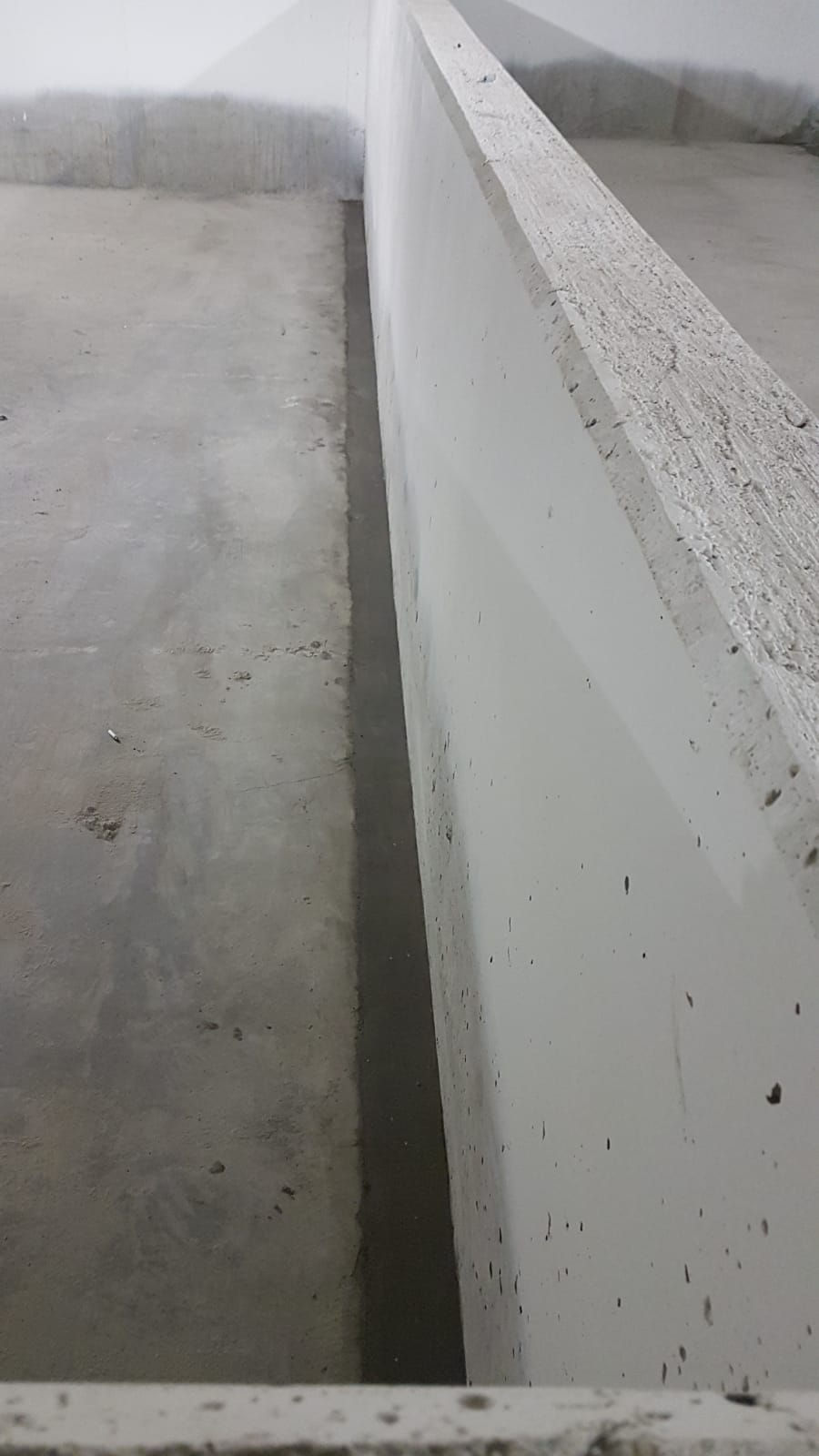 IMG-20190213-WA0001