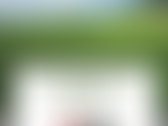 CONTABILIDADE RURAL: Como podemos de ajudar hoje?