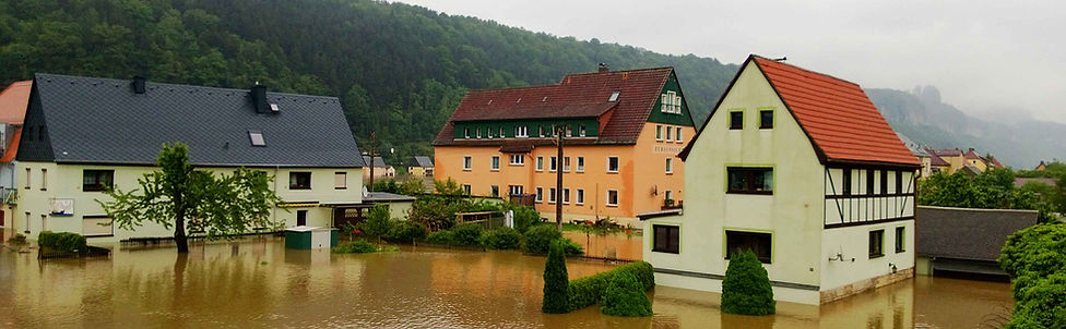 View of the Elbe - Krippen and the steamer Pirna