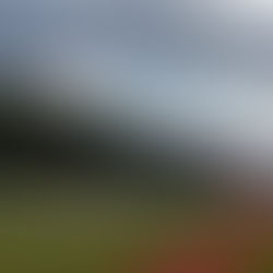 Zirkus „Halligalli“ auf dem Sportplatz in Krippen