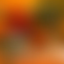 Advent 2019