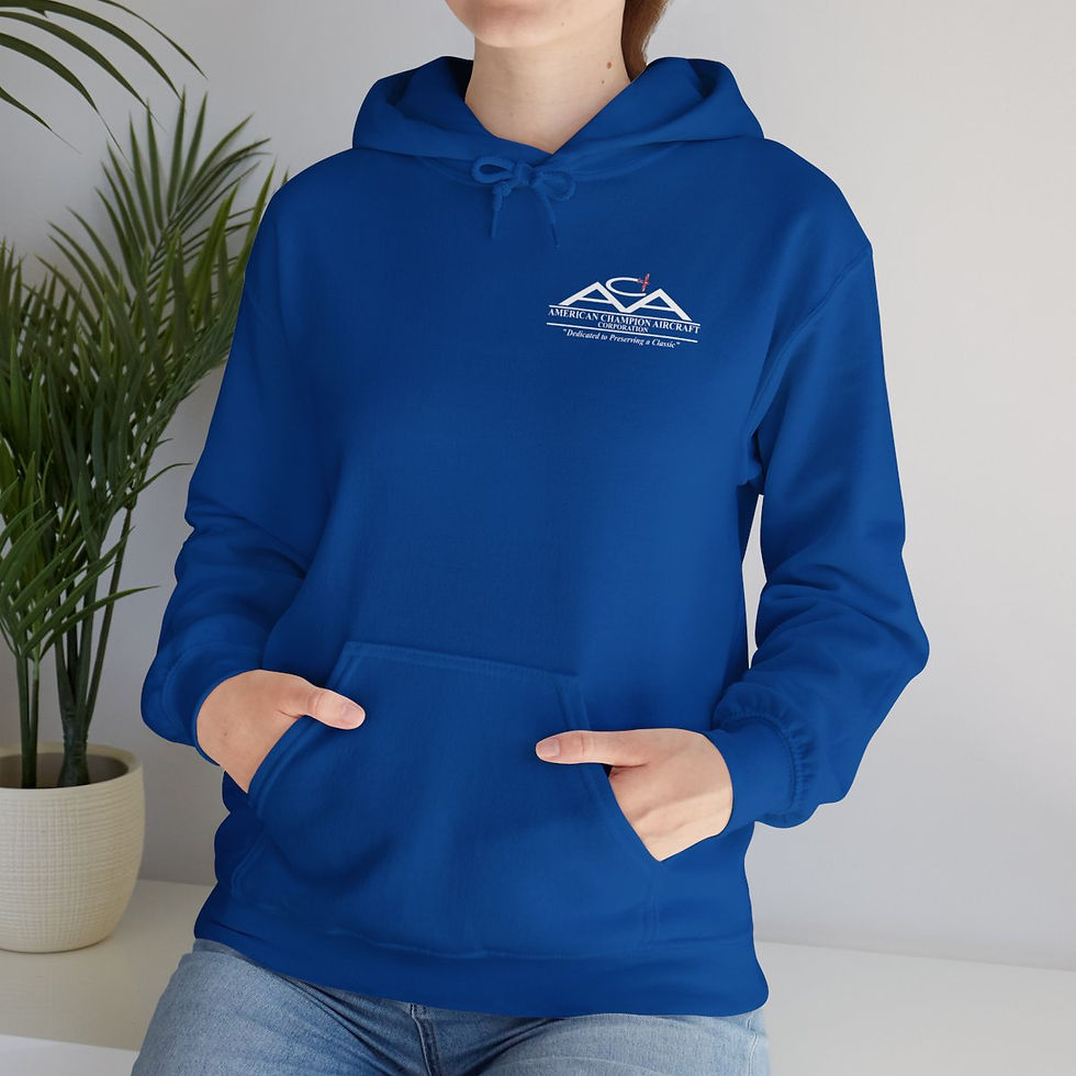 Thumbnail: ACA "Cruise Altitude" Hoodie