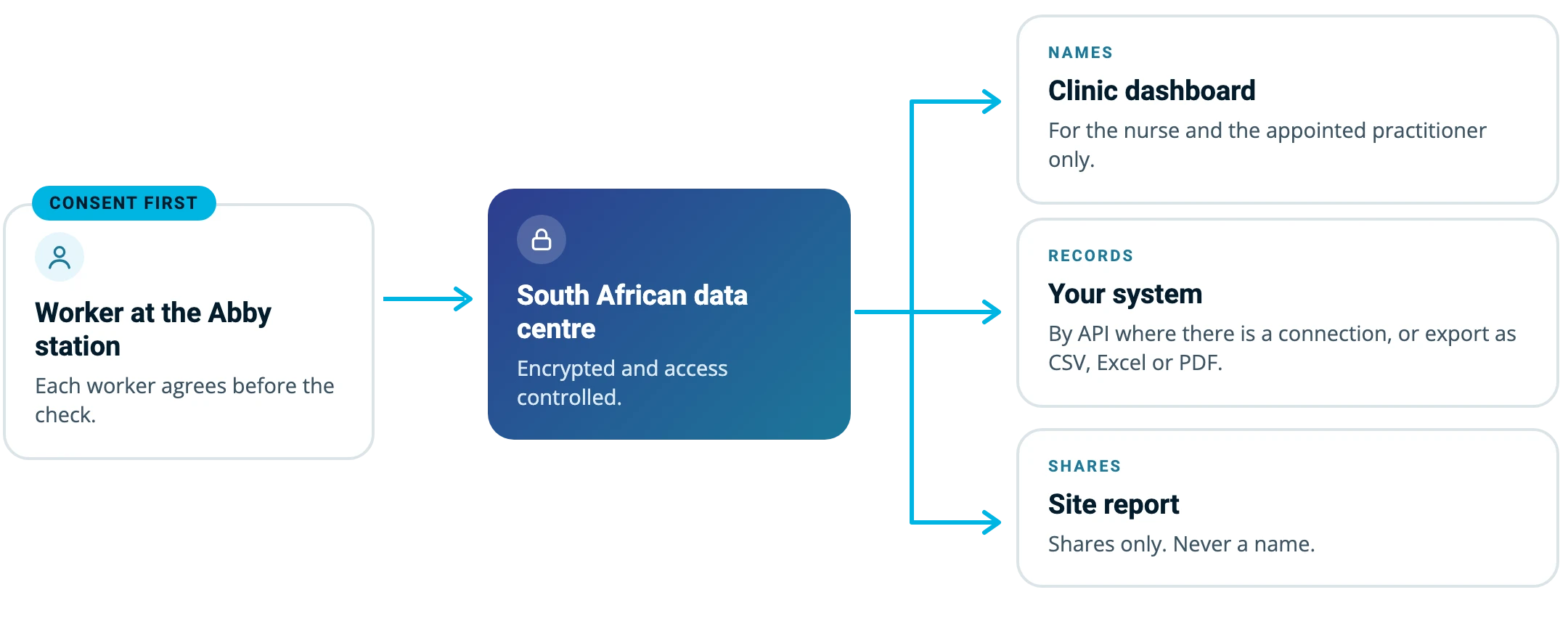 Data flow: the worker consents at the Abby station, results go to a South African data centre, encrypted and access controlled, then to the clinic dashboard (names, for the nurse and appointed practitioner), to your system by API or export (records), and to the site report (shares only, never a name).
