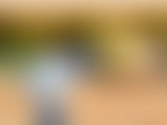 Стартува исплатата на средства за мерка 112 - Помош на млади земјоделци за започнување на земјоделска дејност