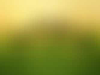 Започнува кампањата за информирање на граѓаните за Јавниот повик од ИПАРД Програмата 2021-2027 за мерката 1