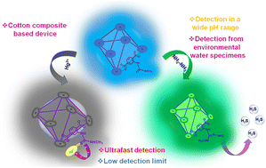 Hydrazine mercury arana.gif