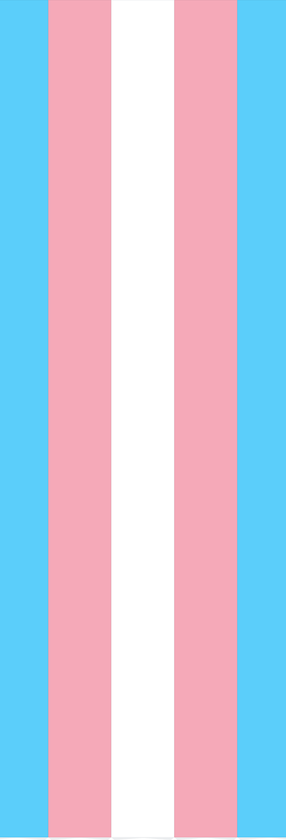 Trans flag(1).png