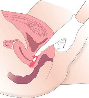 WhatsApp Image 2025-12-25 at 13.34.41 (1).jpeg