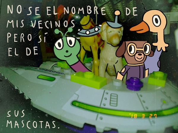 IMG_1392.PNG