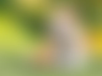 Those Andrew charges in full