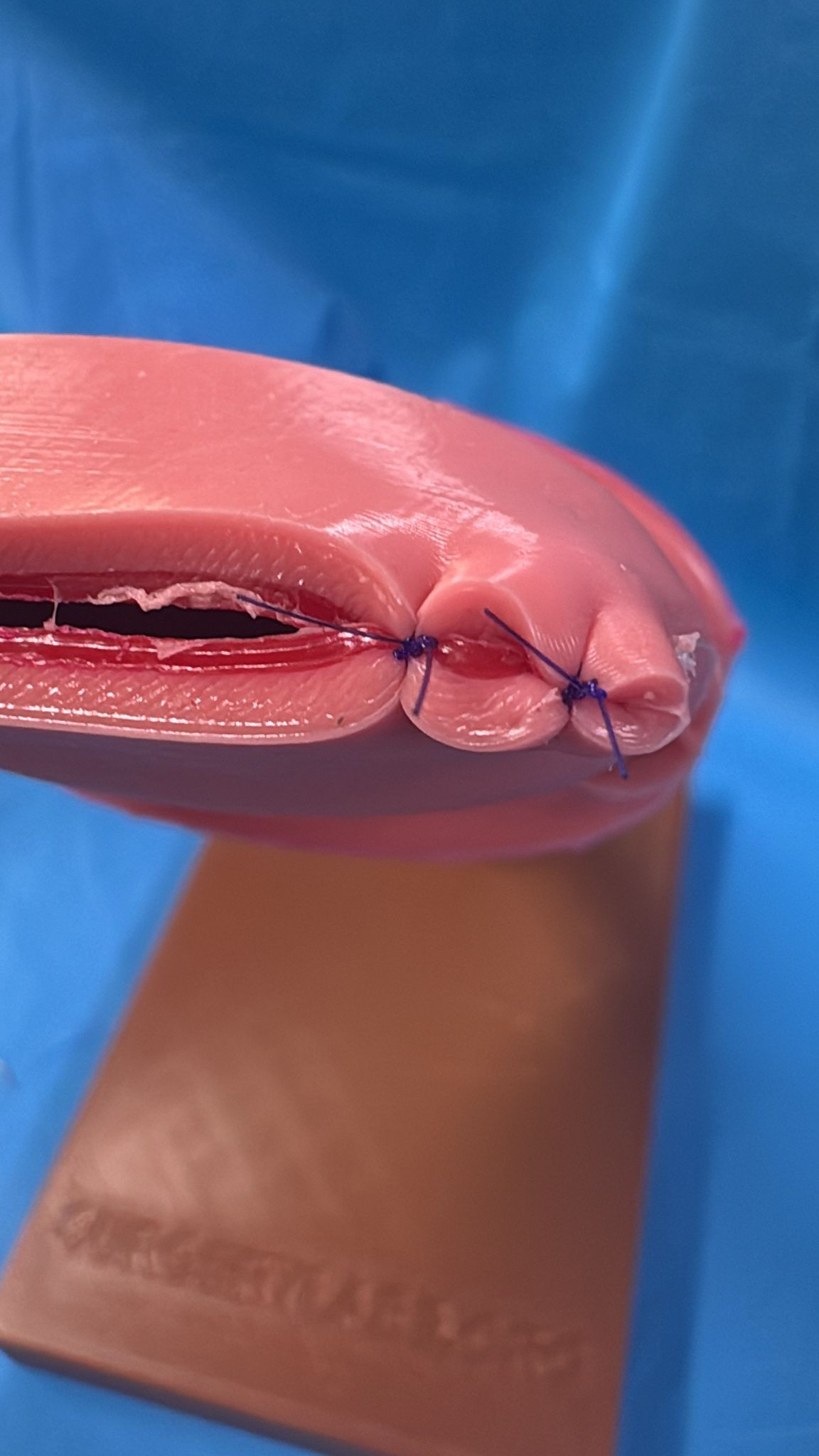 Laparoscopic vaginal cuff closure trainer