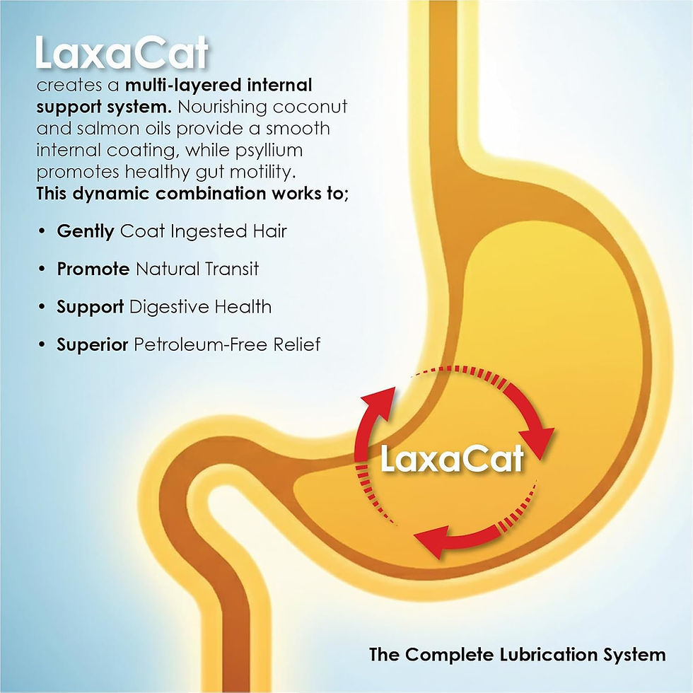 Thumbnail: LaxaCat Hairball Remedy Gel for Cats & Kittens (5 oz)