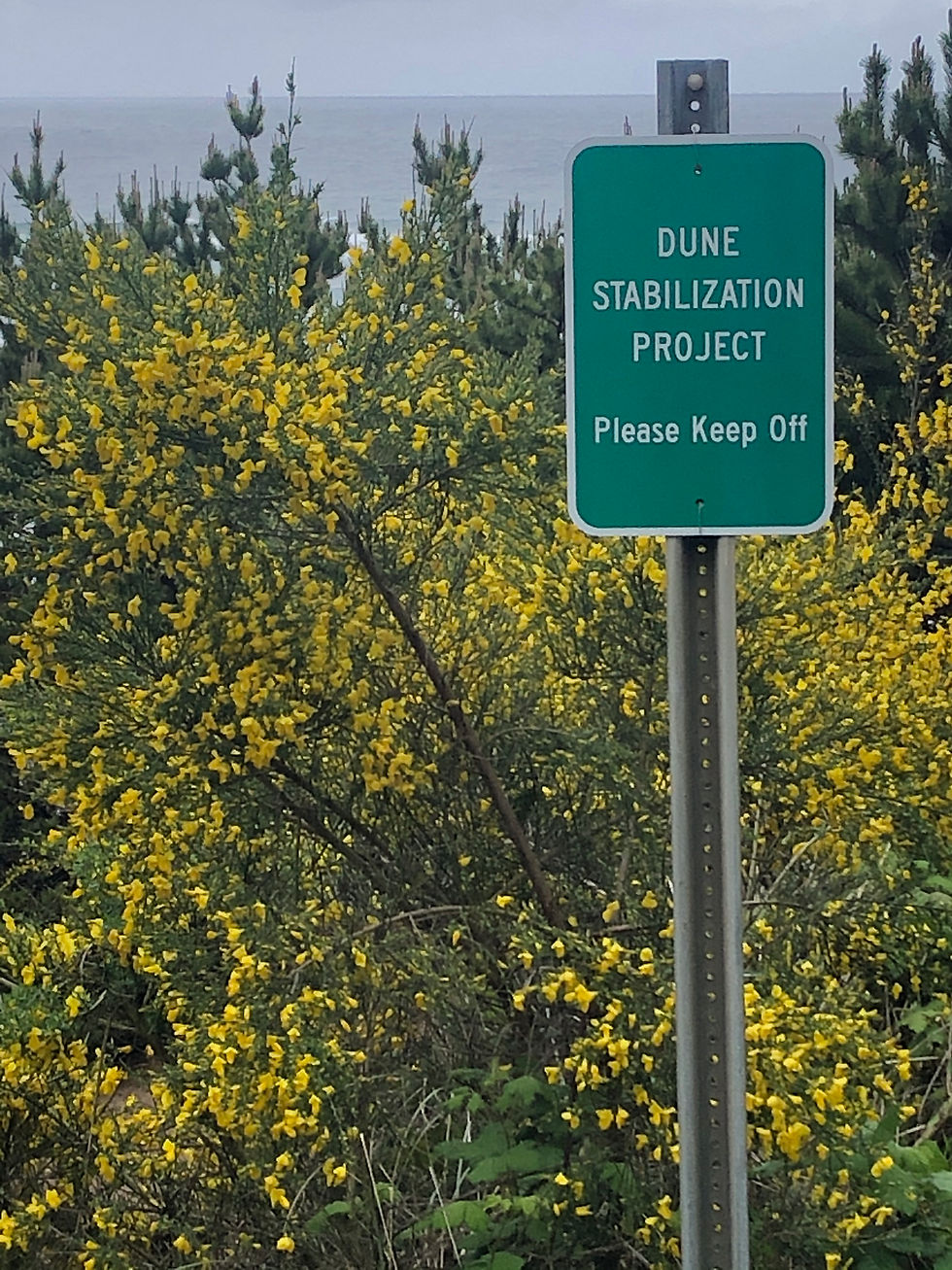 ree