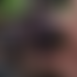 gousse graines hellebores