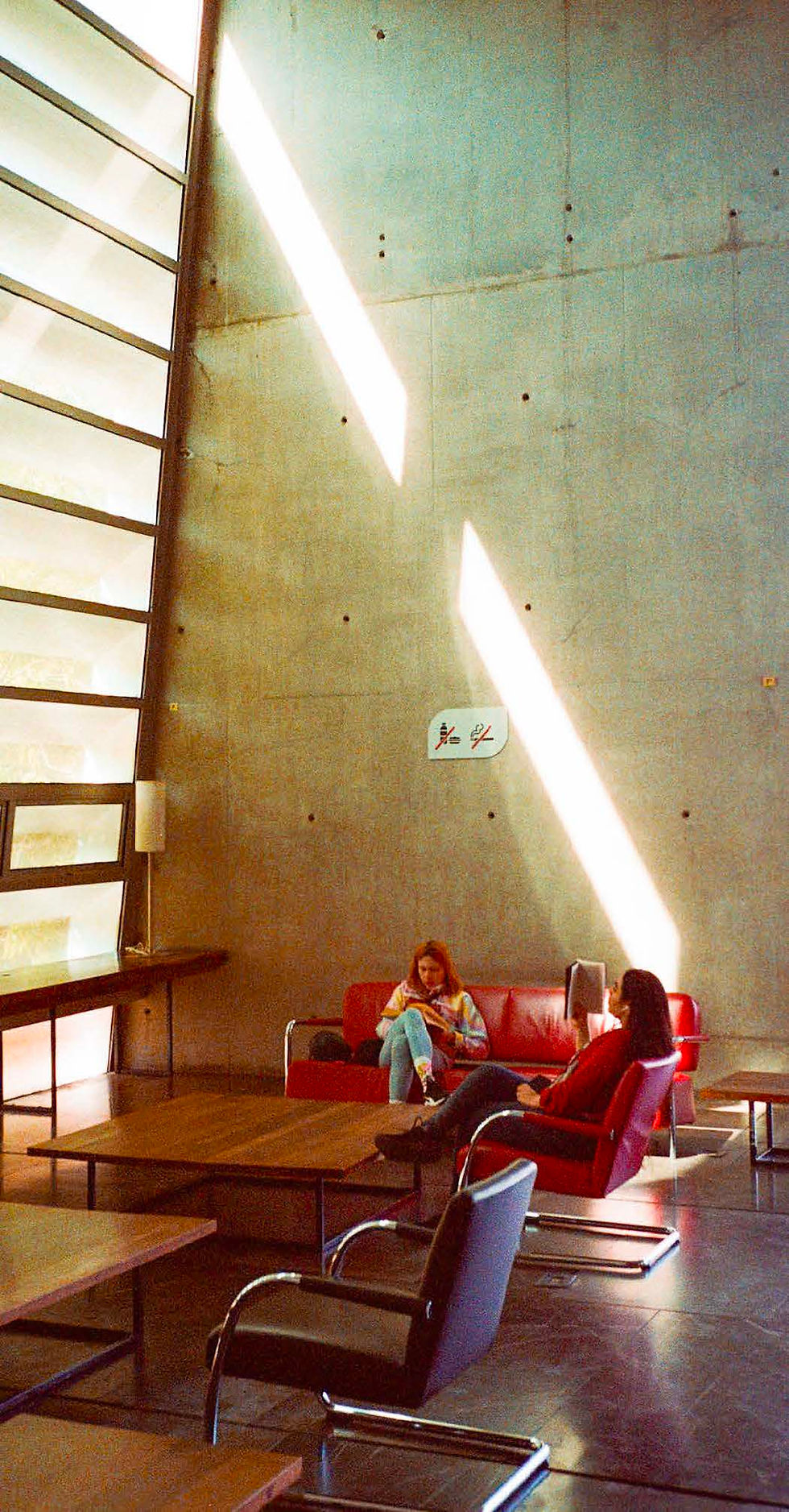 biblioteca 3.jpeg