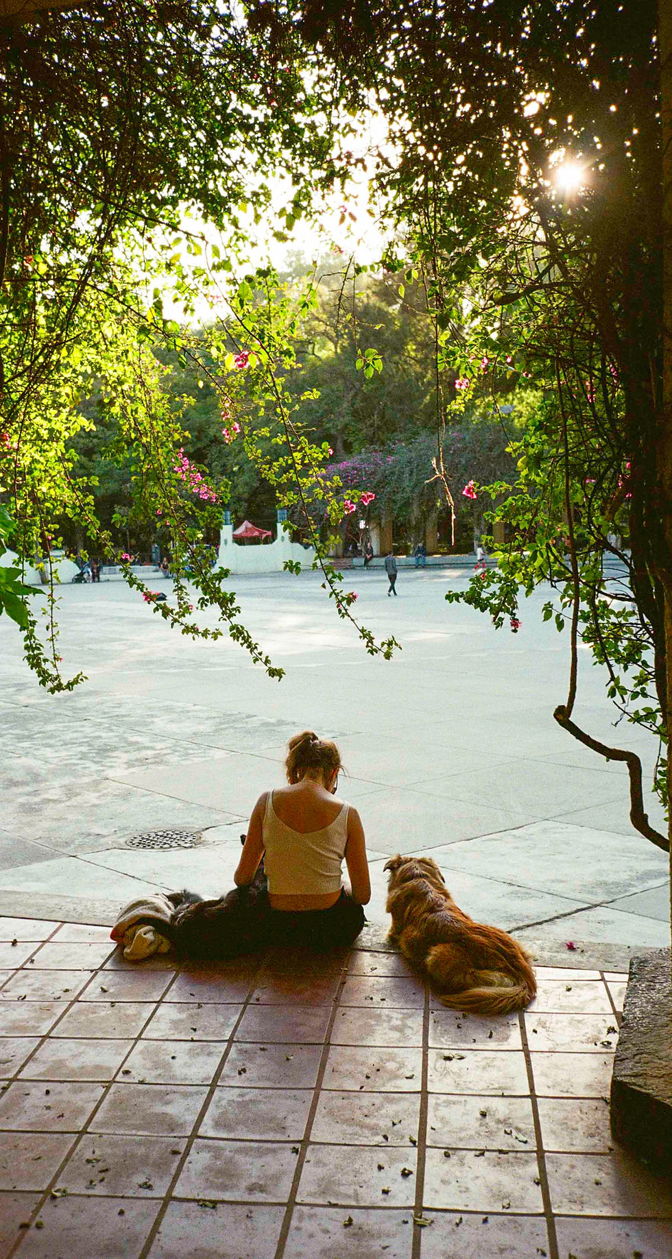 parquemexico2.jpg