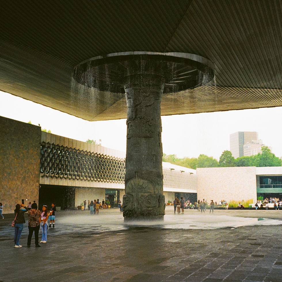 museoantropologia.jpg