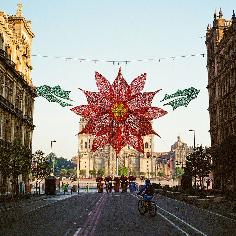 This picture is taken right before entering the Zocalo. These Christmas decorations stay up for the month of December and January.
