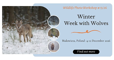 Wildlife Photo Workshop #126(7).jpg