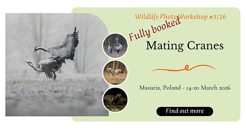 Wildlife Photo Workshop #126(2).jpg