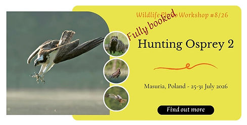 Wildlife Photo Workshop #126(19).jpg