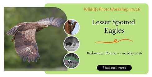 Wildlife Photo Workshop #126(10).jpg