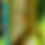 Thumbnail: ready to hang