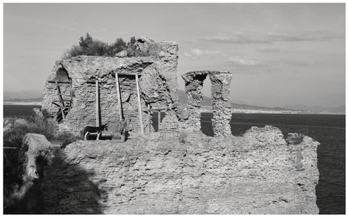 Napoli Napoli Napoli | Brett Lloyd Studio