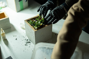 MATT CONCRETE_DRAGONS DEN 2025-095