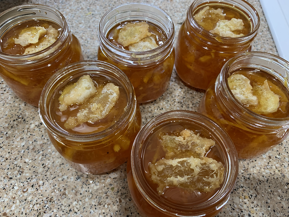 Thumbnail: Orange & Ginger + Lemon & Honey Marmalade SET - 8oz jars