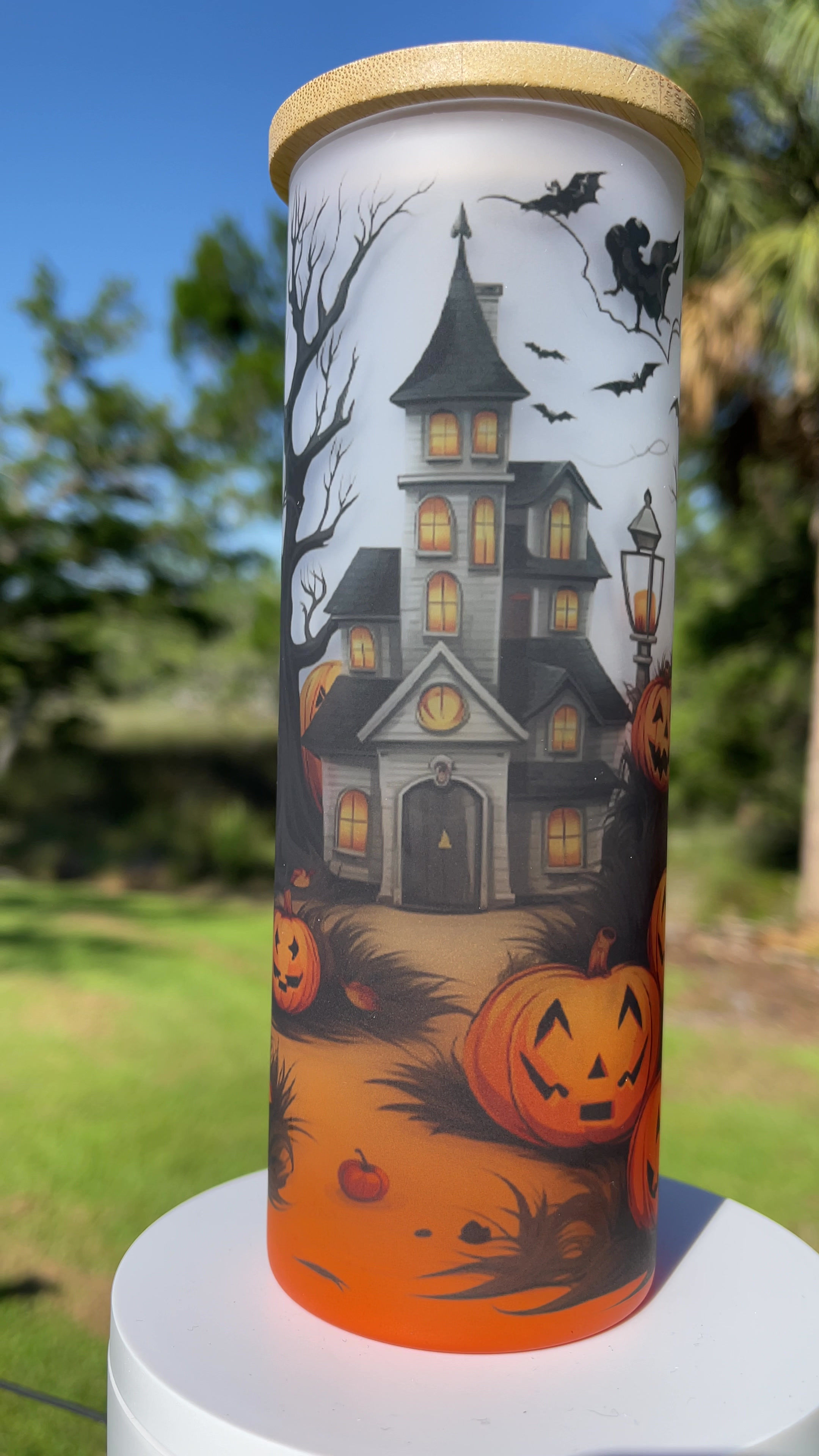 17 OZ Straight Glass Tumbler