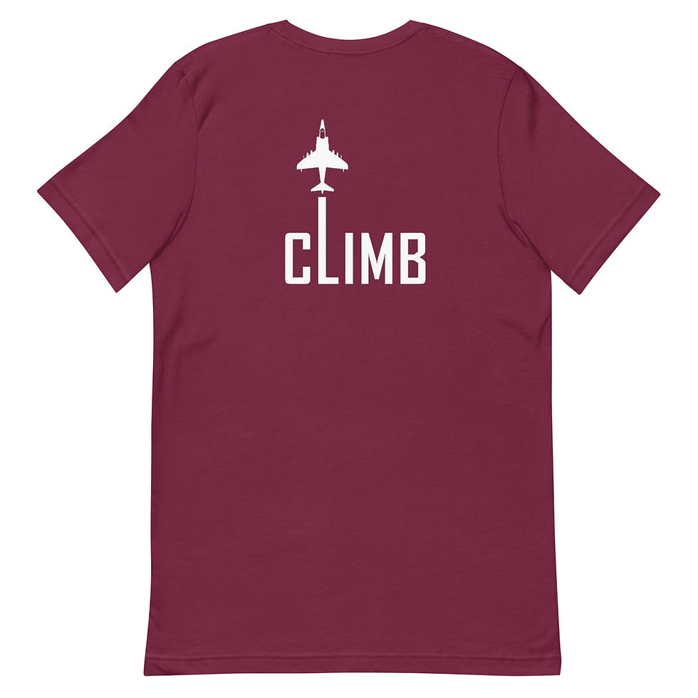 Thumbnail: AV-8B Harrier - Climb (White)