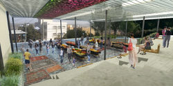 Shibli Market