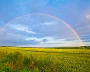Hope Springs Eternal
