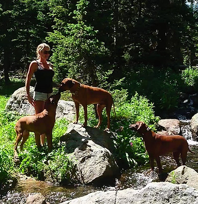 _20190729_174515.JPG